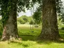 Countryside views at Tincleton Lodge - thumbnail photo