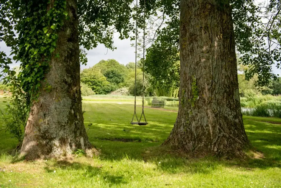 Countryside views at Tincleton Lodge