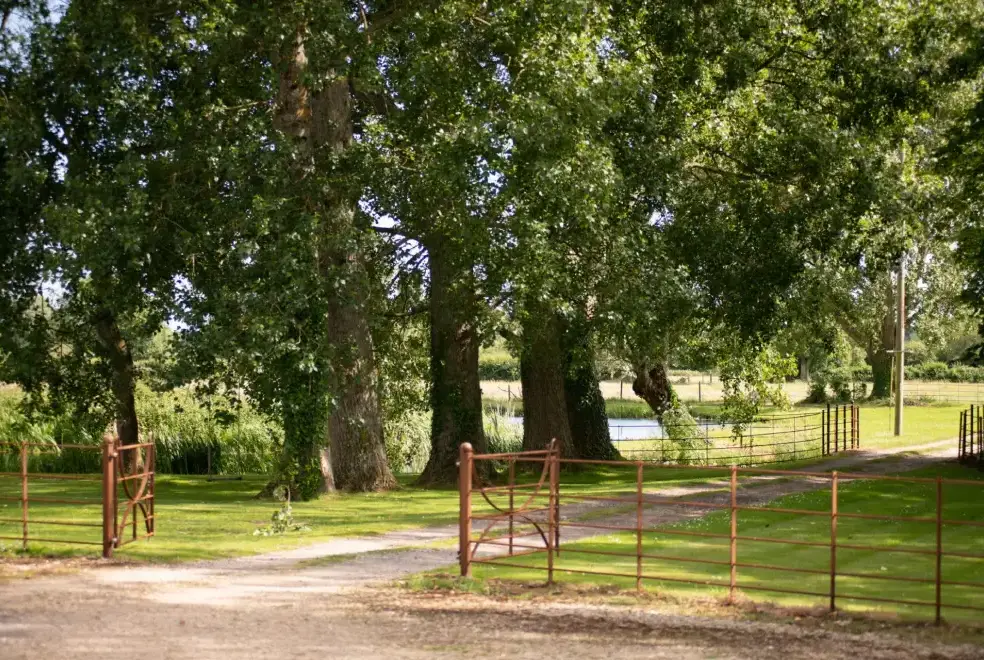 Countryside near Tincleton Lodge