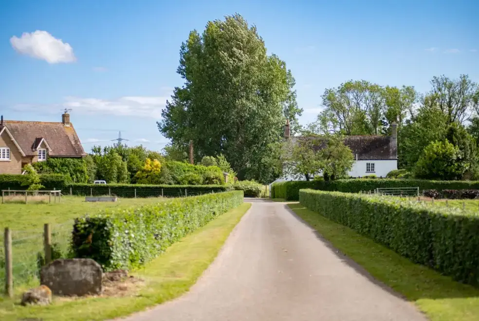 Countryside near Tincleton Lodge