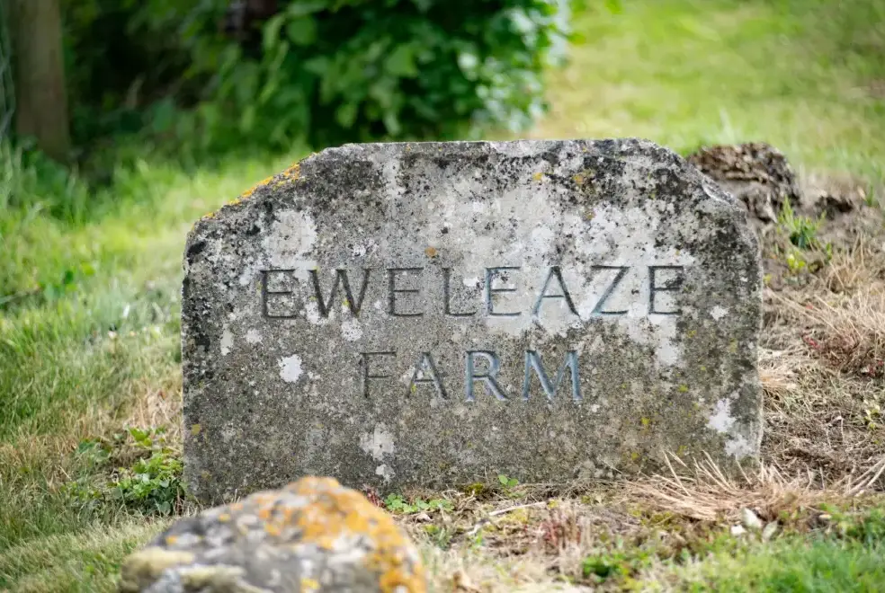 Surrounding area near Tincleton Lodge