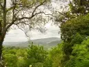 Countryside views at Treetops Rural Retreat - thumbnail photo