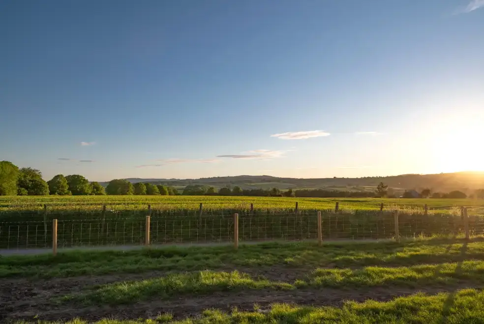Countryside views at Trevase Granary