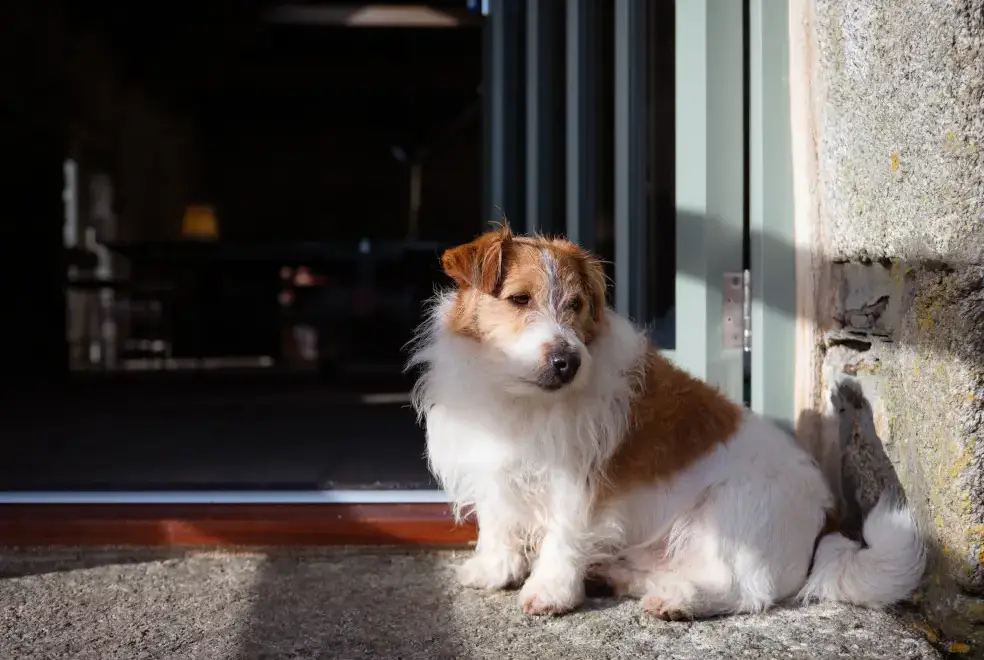  at Treveddoe Farmhouse