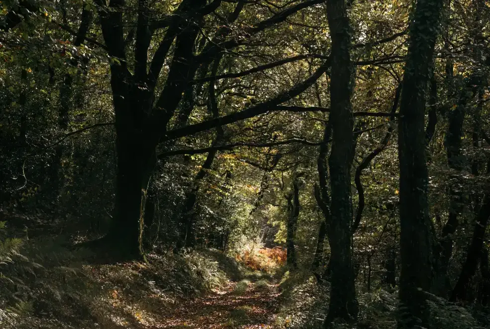 Countryside views at Treveddoe Farmhouse