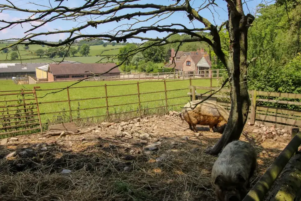 Countryside views at Turnip House