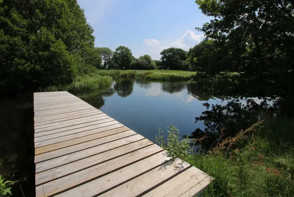 Lake view at Turnip House