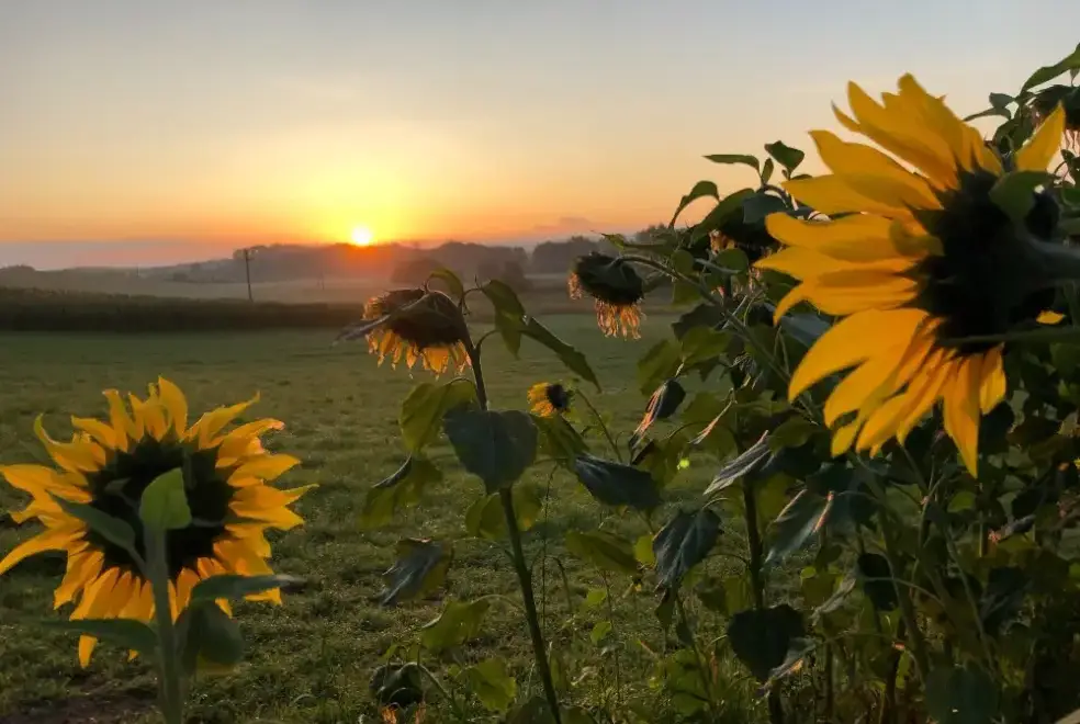 Countryside views at Tweed Hideaway