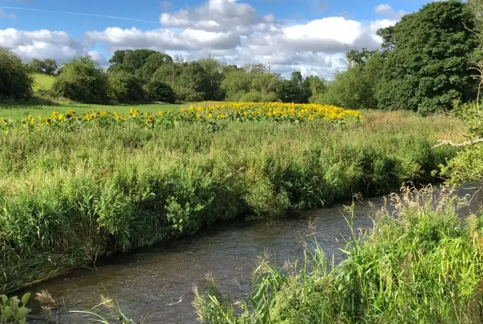 Countryside views at Tweed Hideaway