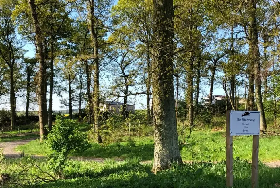 Countryside near Tweed Hideaway