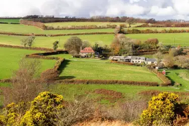 Jasper, South West England, England
