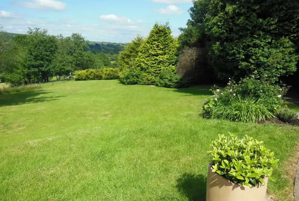 Countryside views at Ty Gwyn Cottage