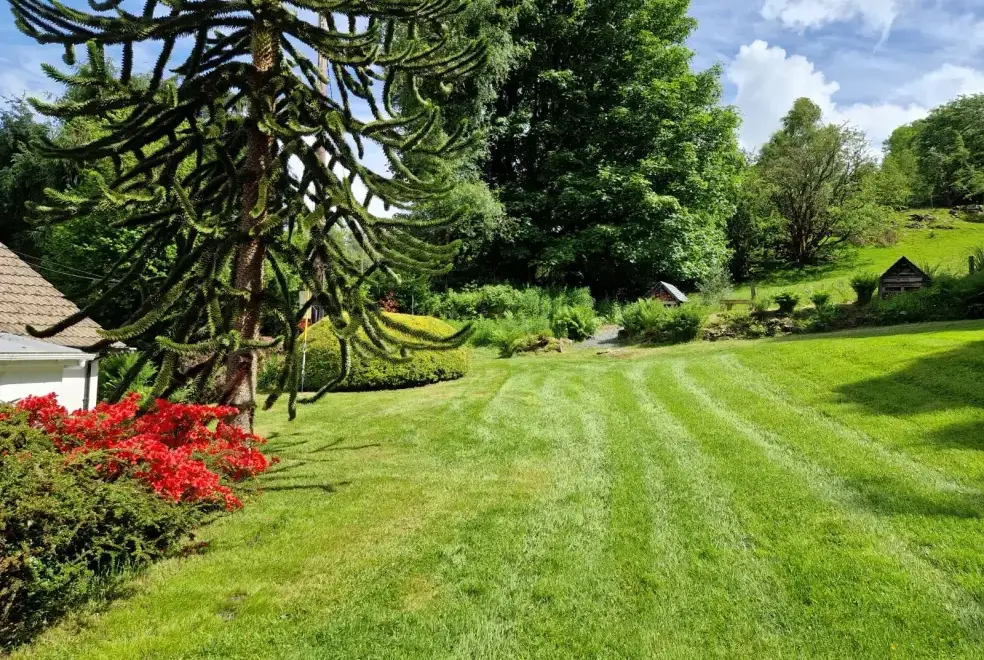 Garden at Ty Gwyn Cottage