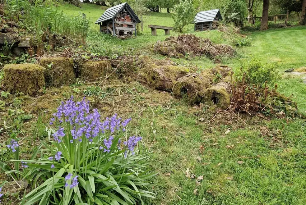 Countryside views at Ty Gwyn Cottage