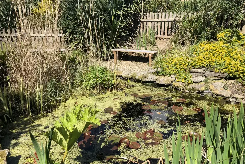 Garden at Valley View