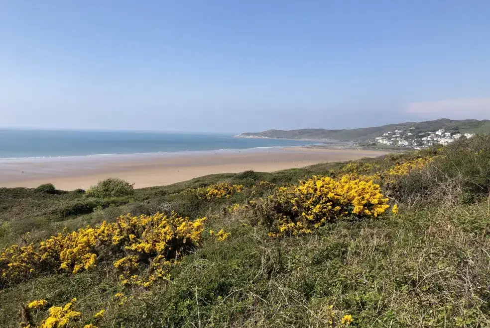 Coastal scenes near Valley View