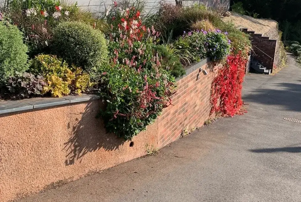 Countryside views at Views Galore