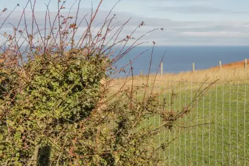 Coastal scenes near Voebroch, North Yorkshire