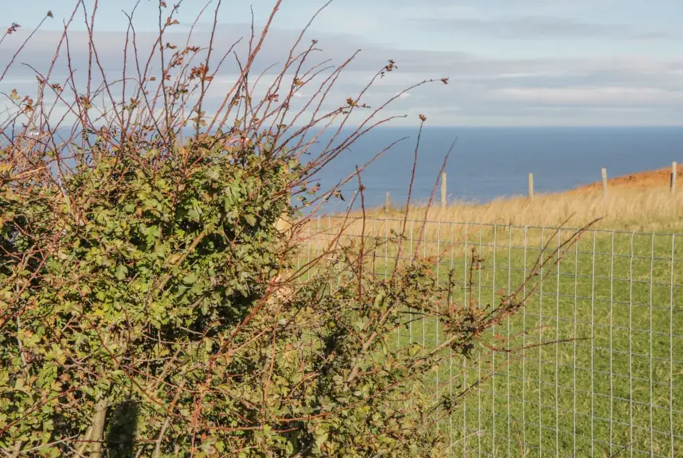 Coastal scenes near Voebroch
