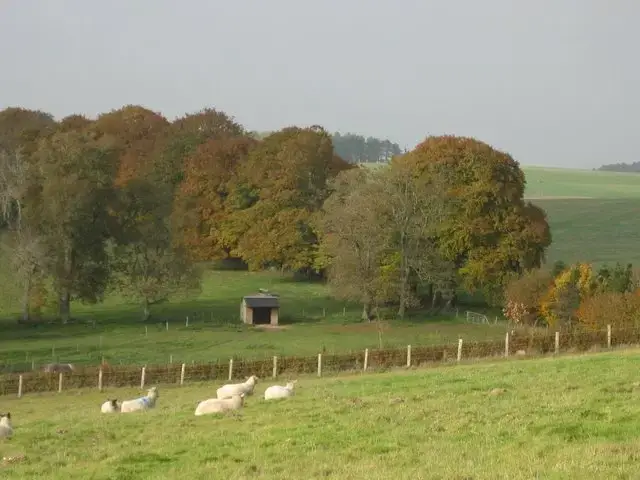 Countryside views at Waterlake Cottage, Orcheston, nr Stonehenge