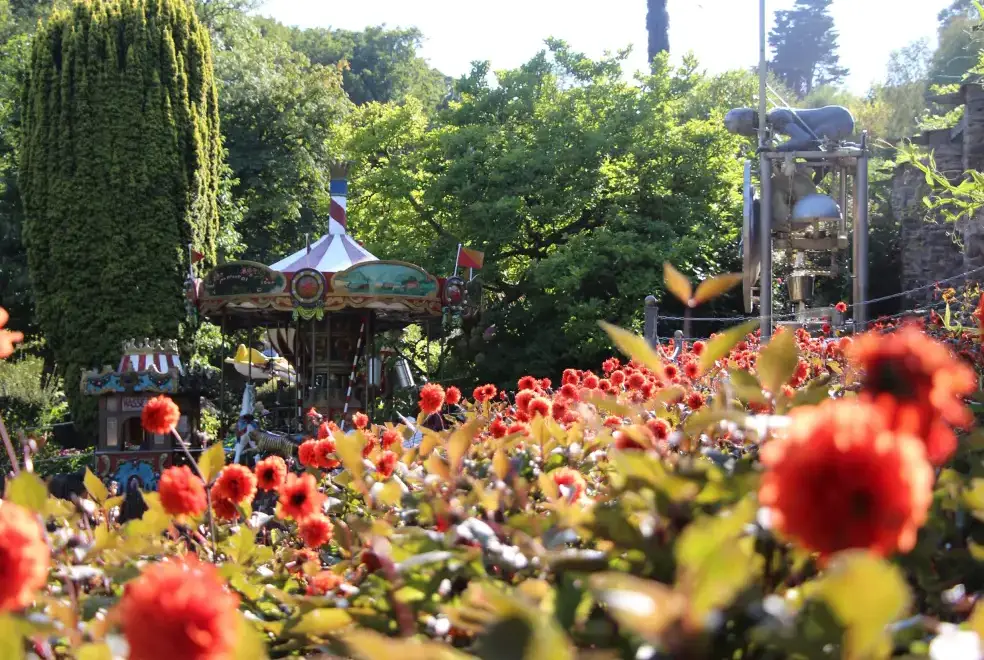 Surrounding area near Watermouth Castle, Harbour Apartment