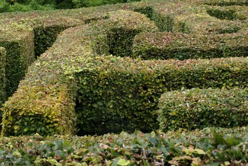 Garden at Watermouth Castle, Harbour Apartment