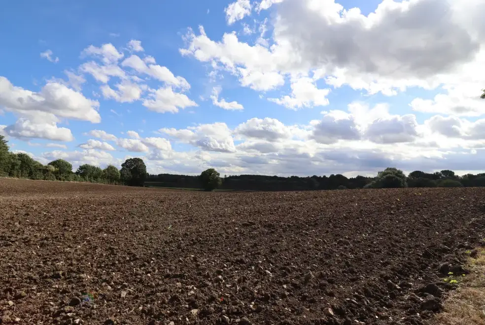 Countryside views at Wayside Cottage