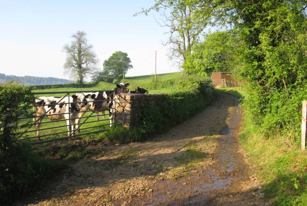 Weathervane Cottage at Twistgates Farm Cottages, Honiton, Devon