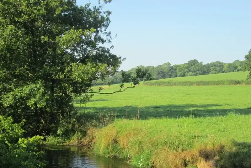 Countryside near Weathervane Cottage