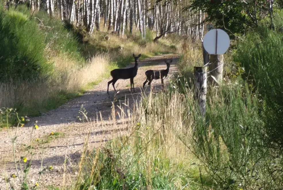 Countryside near Weiroch Lodge