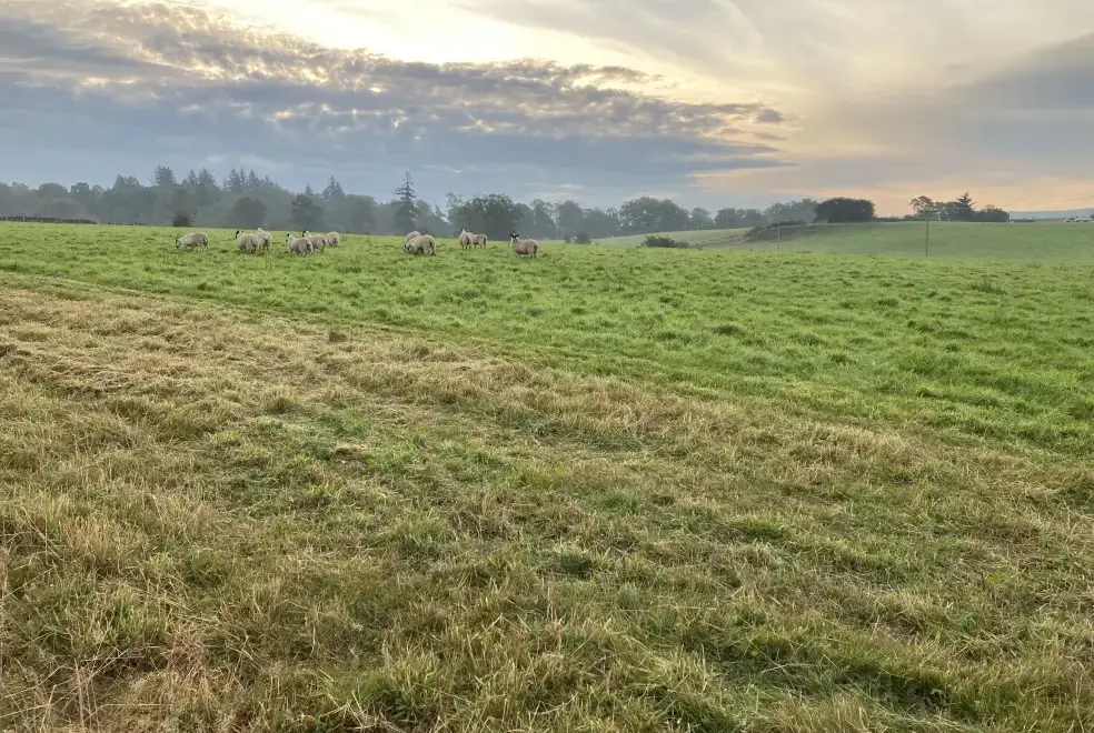 Countryside views at Westertonhill Holiday Lodge 5