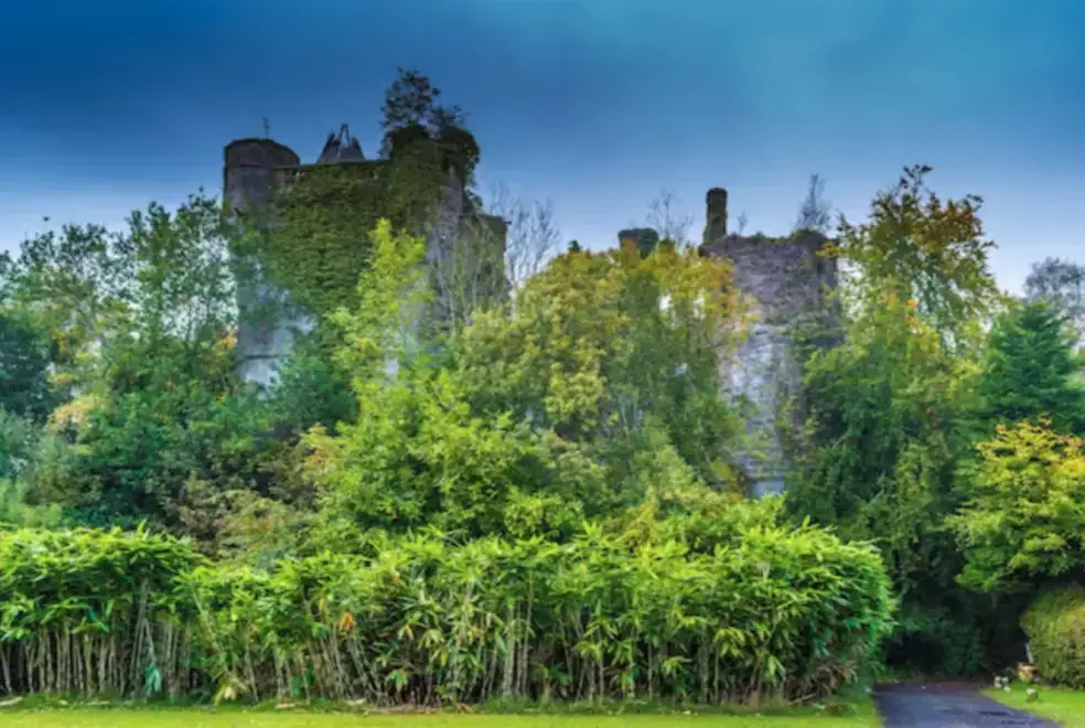 Surrounding area near Westertonhill Holiday Lodge 5