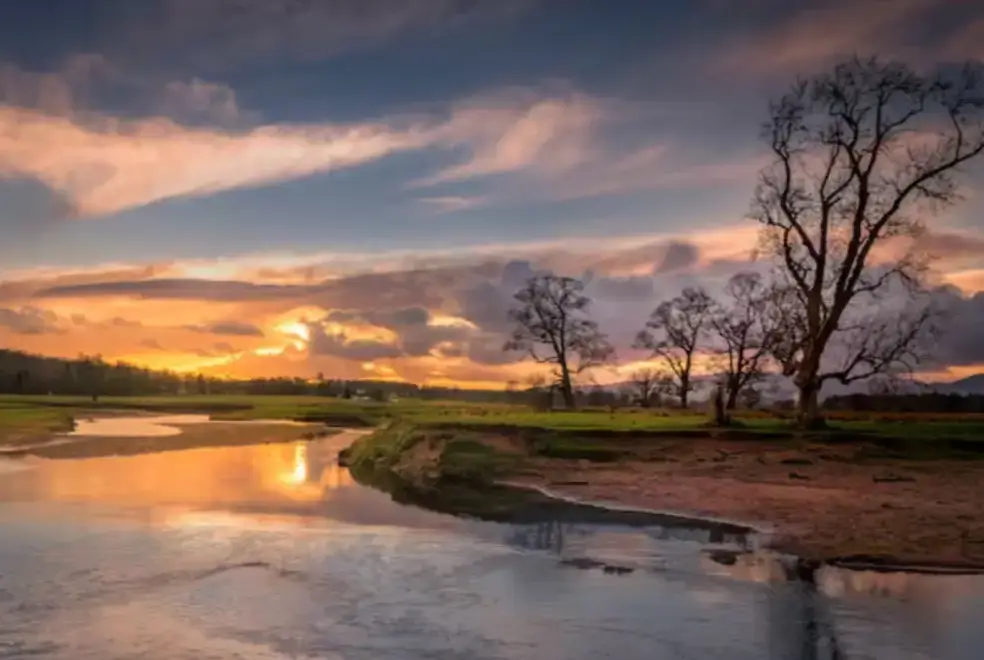 Countryside near Westertonhill Holiday Lodge 5