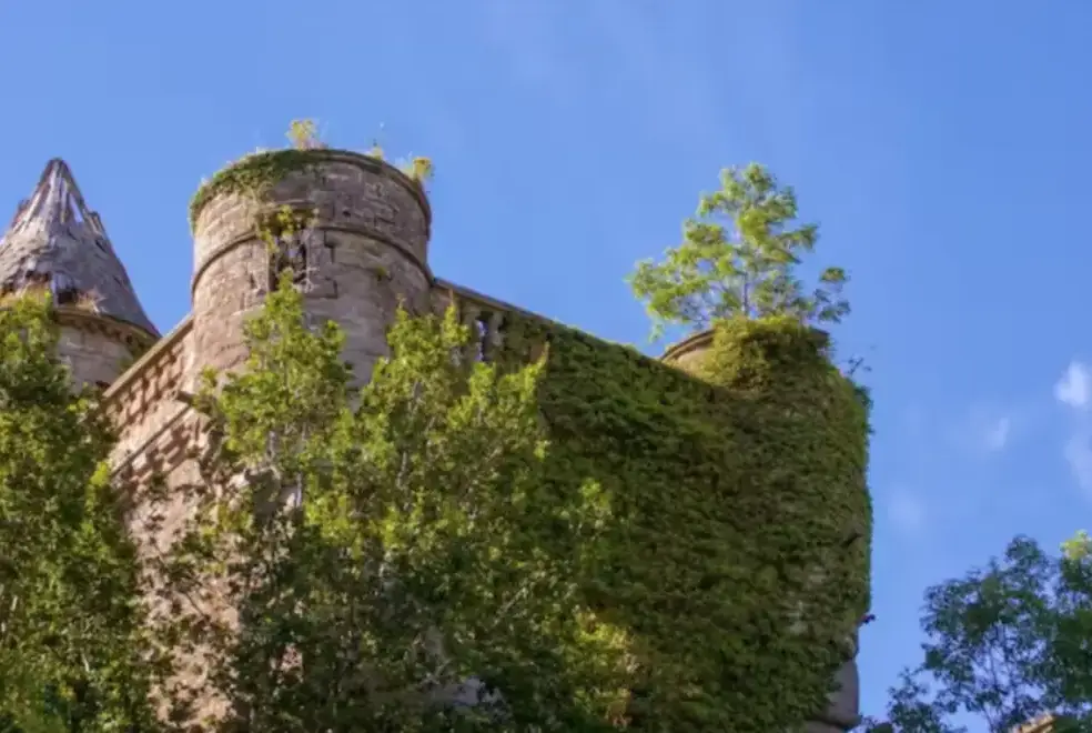 Westertonhill Holiday Lodge 5, from the outside