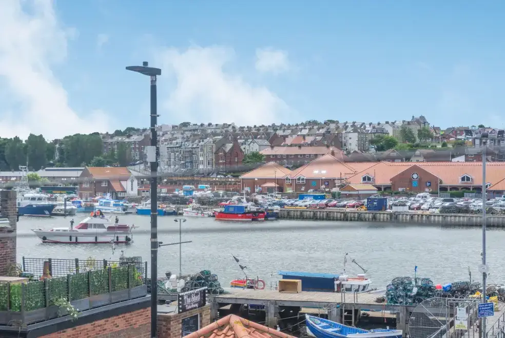 Coastal scenes near What a View at Quayside Apartment