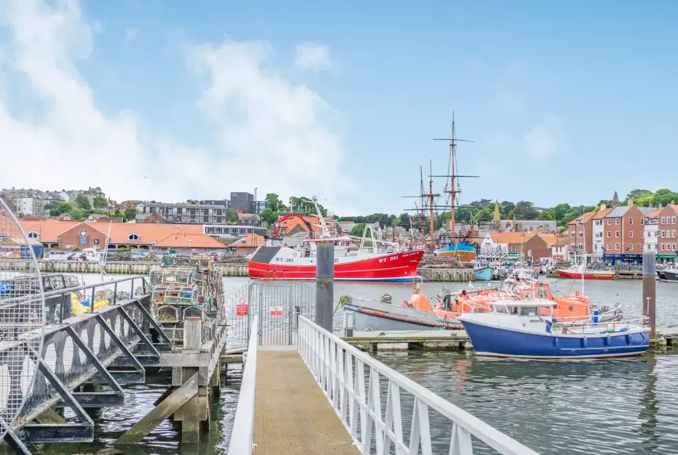 Coastal scenes near What a View at Quayside Apartment