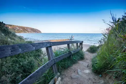 Coastal scenes near White Sands, Dorset