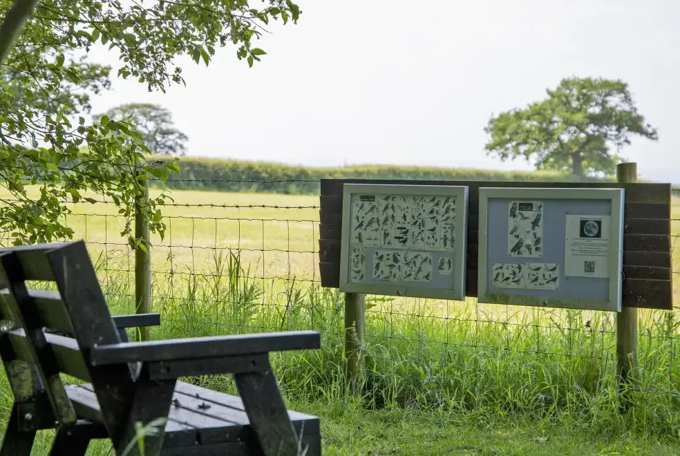 Countryside near William's Hayloft with Swimming Pool, Sports Court & Toddler Play Area