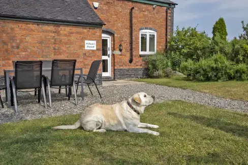 Dogs welcome at William's Hayloft with Swimming Pool, Sports Court & Toddler Play Area, Shropshire