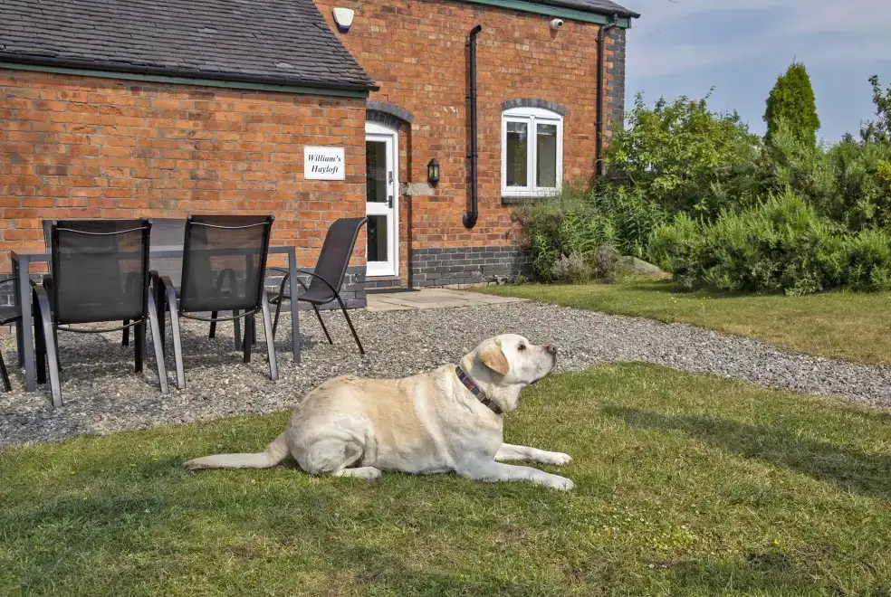 Dogs welcome at William's Hayloft with Swimming Pool, Sports Court & Toddler Play Area