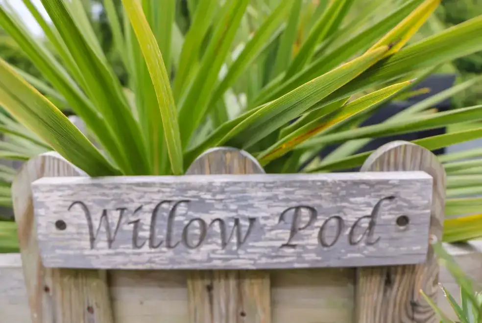 Garden at Willow Pod