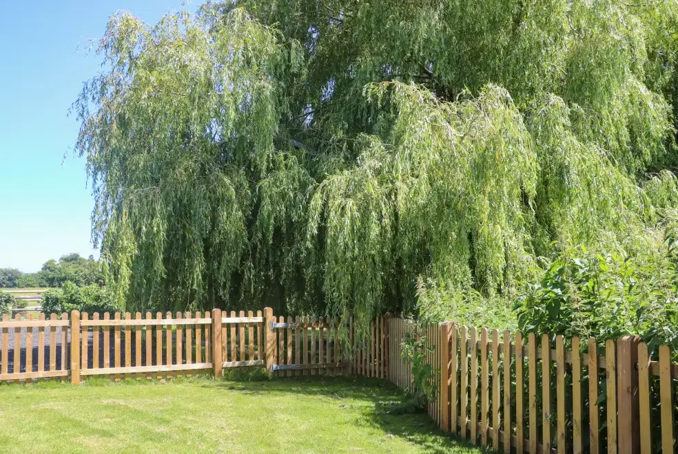 Enclosed garden at Willow Pod