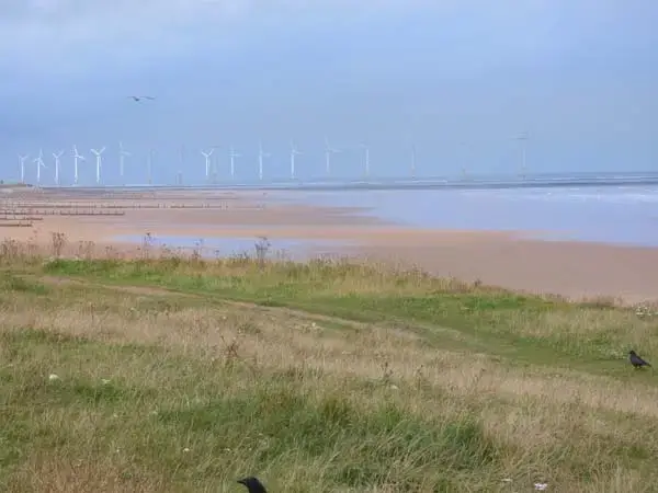 Coastal scenes near Wills Coastal Cottage