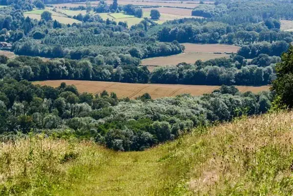 Countryside views at Woodhill Cottage