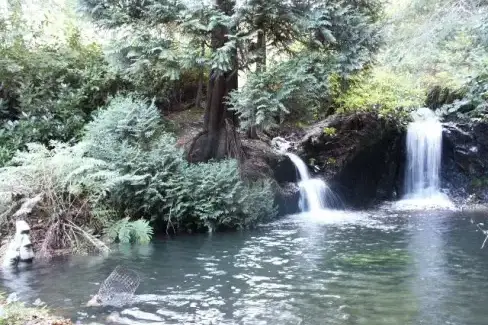 Woodland Waterfalls - Photo 1