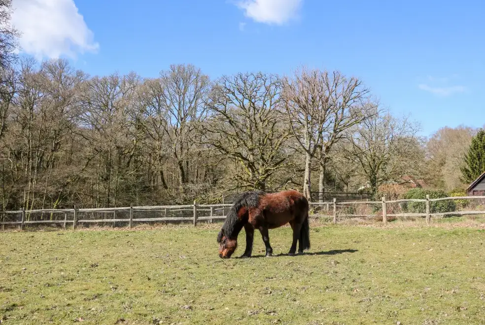 Countryside near Woodmancote Holiday Lodge
