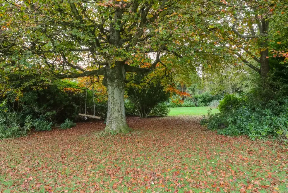 Garden at Woodside House