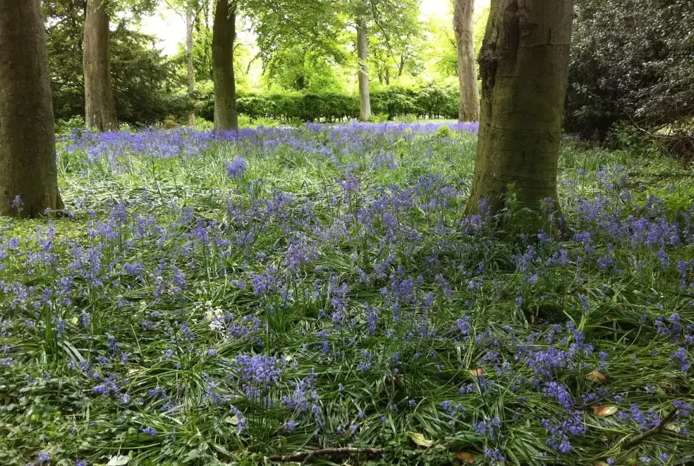 Countryside views at Woodside House