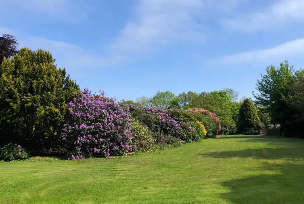 Garden at Woodside House