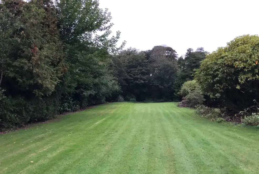 Garden at Woodside House